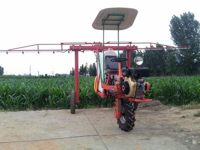園林綠化果樹(shù)打藥機(jī) 自走式噴霧器汽油打藥機(jī) 柴油動(dòng)力自走式農(nóng)田噴藥機(jī)批發(fā)圖片_高清圖_細(xì)節(jié)圖