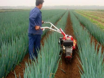 汽油開(kāi)溝機(jī) 河北購(gòu)買(mǎi)汽油開(kāi)溝機(jī) 廠家批發(fā)-產(chǎn)品報(bào)價(jià)-曲阜市魯軒農(nóng)業(yè)機(jī)械