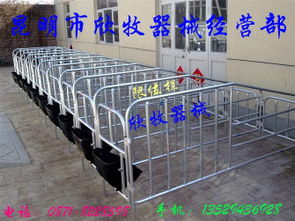 母豬產床,限位欄規(guī)格型號及價格 母豬產床 限位欄 保育欄 飲水器